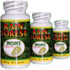 Rain Forest