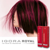 Igora