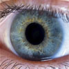 Contact Lenses