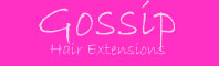 GossipLOG2