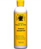 Jamaican Mango and Lime Tingle Shampoo