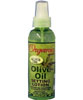 Organics Olive Oil Setting Lotion