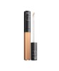 Fit Me Concealer