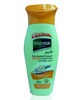 Roushun Anti Dandruff Smooth Shampoo Plus Conditioner