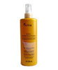 Sol Perfection All Day Protection Spray