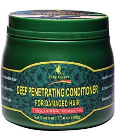 Deity America Deep Penetrating Conditioner For Damaged Hair