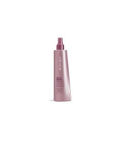 Color Endure Leave In Protectant