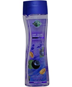 Hollywood Style Dry Hair Shampoo