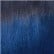 T1B/Blue