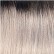 T1B/Silver
