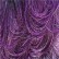 3T1B/PURPLE