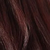 Brown Jasper