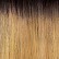 DR4/Golden Honey Blonde