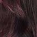 D.Red Velvet
