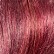 Dark Maroon