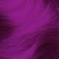 Fuschia Shock