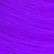 Plum Passion