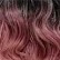 RT1B/Wine (Rainbow Tip)
