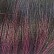 SOPDKPU