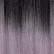 T1B/Lilac
