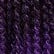 T1B/Violet
