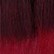 T3/OM/Plum Red Wine