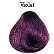 Maxima Violet