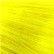 Florence Yellow