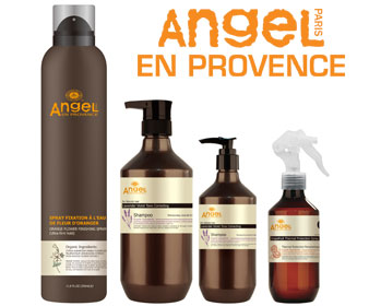 Angel En Provence