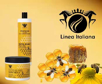 Linea Italiana