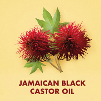 Shea Moisture Jamaican Black Castor Oil