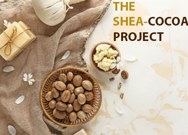 The Shea Cocoa Project