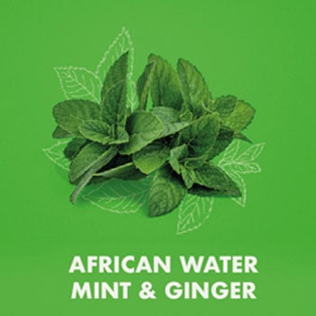 Shea Moisture African Water Mint Ginger