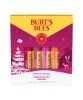Beeswax Bounty Fruit Mix Lip Balm