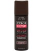 Color Cover Touch Up Spray
