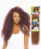 2X Afro Twist Braid 2In1 Value Pack