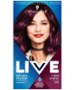 Live Color Intense Permanent Colours 046 Cyber Purple