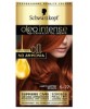 Oleo Intense No Ammonia Permanent Colour Light Copper Brown 5 77