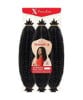 X Pression 3X Twisted Up Springy Afro Twist Braids