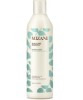 Mizani Scalp Care Shampoo