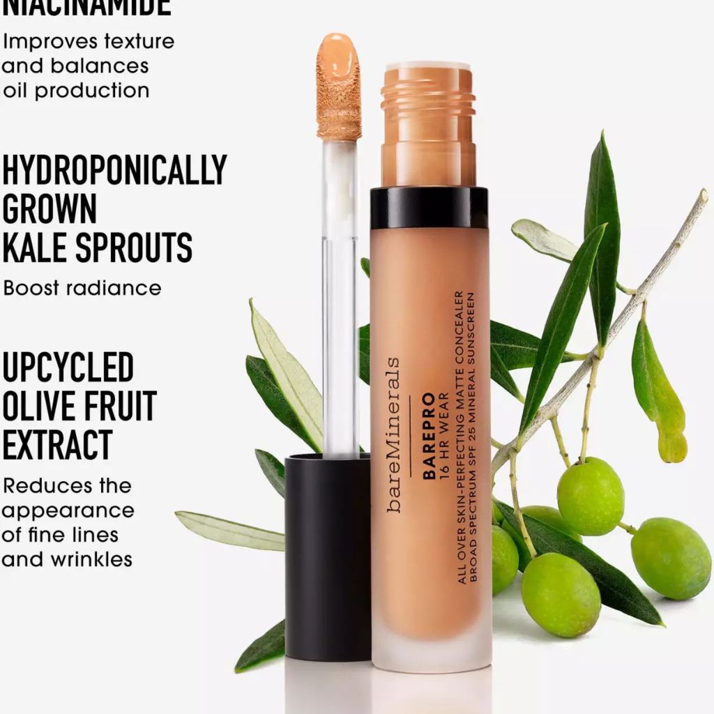 Bare Pro 16HR Wear All Over Skin Perfecting Matte Concealer