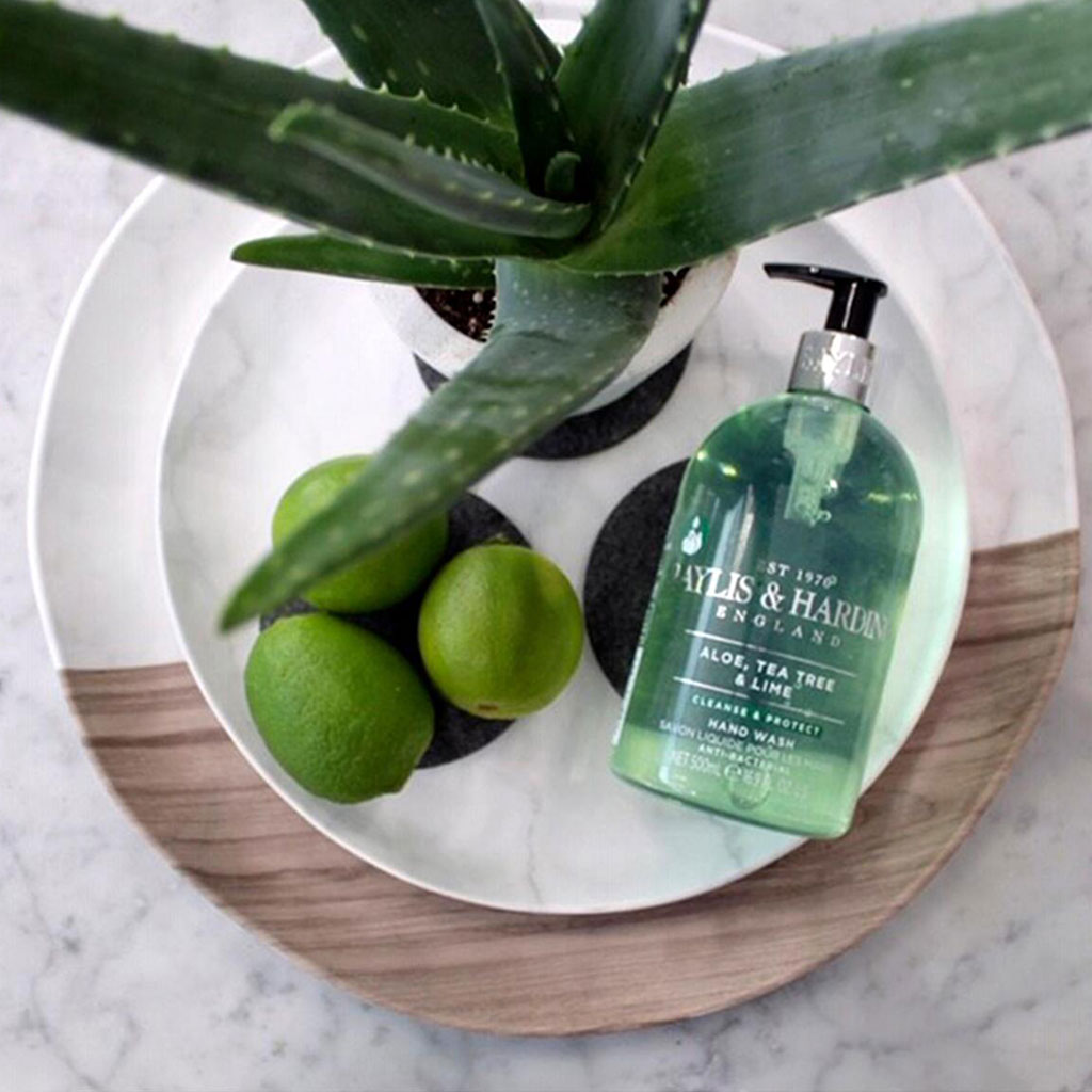 Aloe Tea Tree And Lime Hand Wash