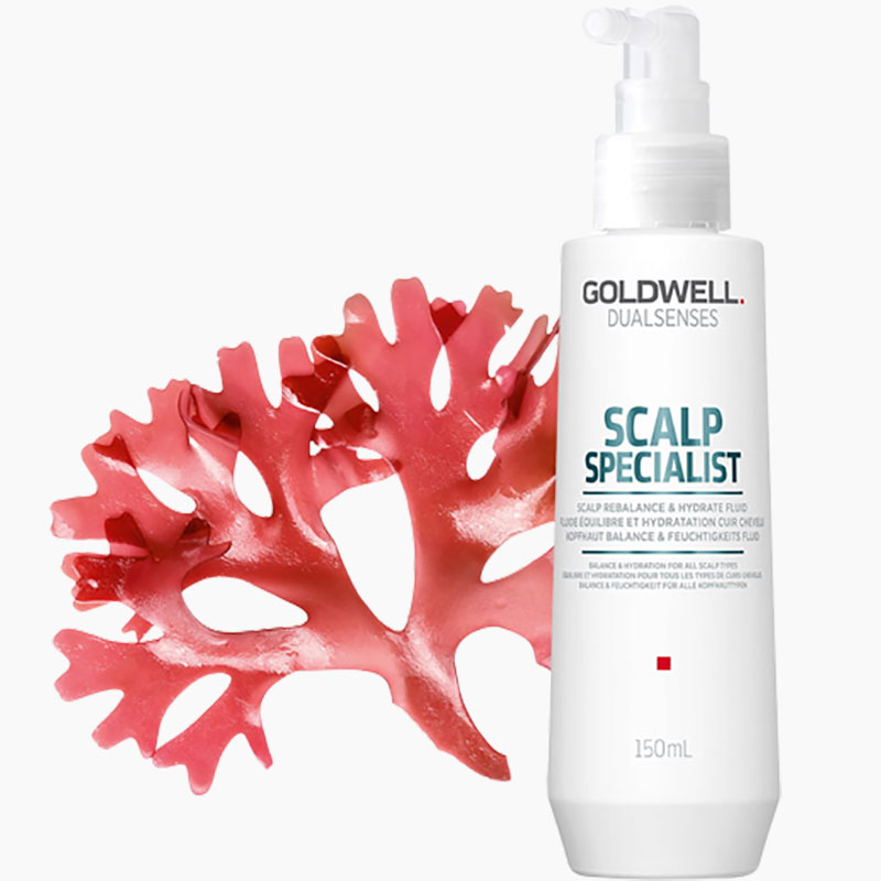 Dualsenses Scalp Specialist Scalp Rebalance And Hydrate Fluid