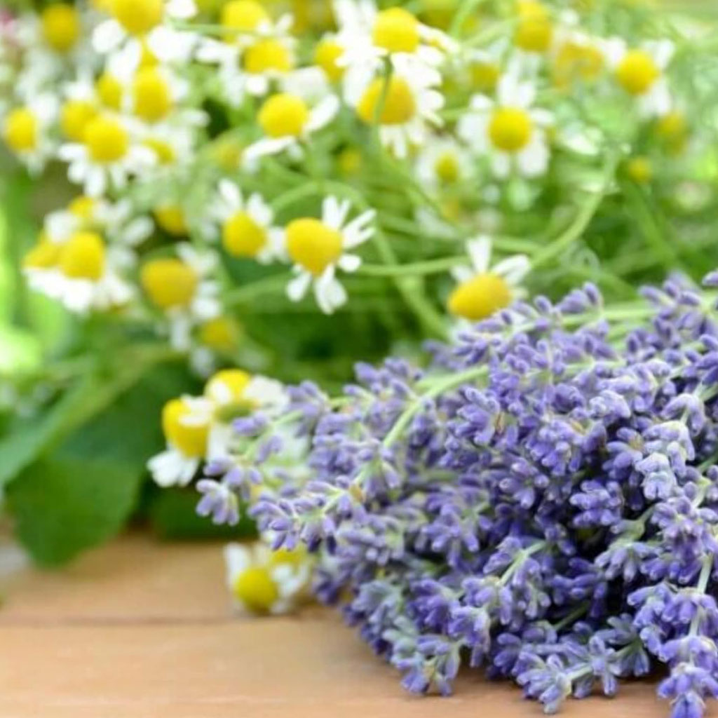 Derma V10 Lavender Pillow Spray