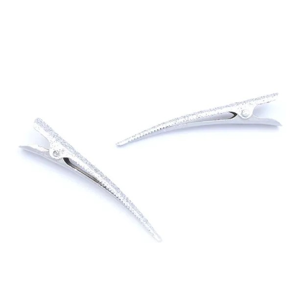 Card Of 2 Glitter Beak Assorted Clips 7835