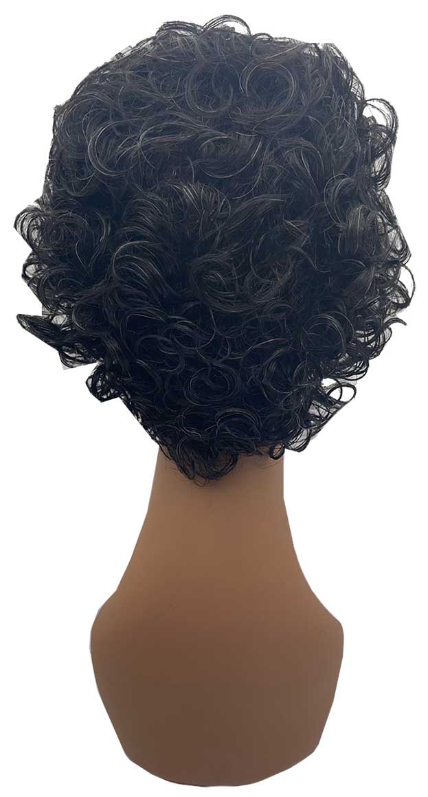 Naomi Sims Collection Syn Nasia Wig