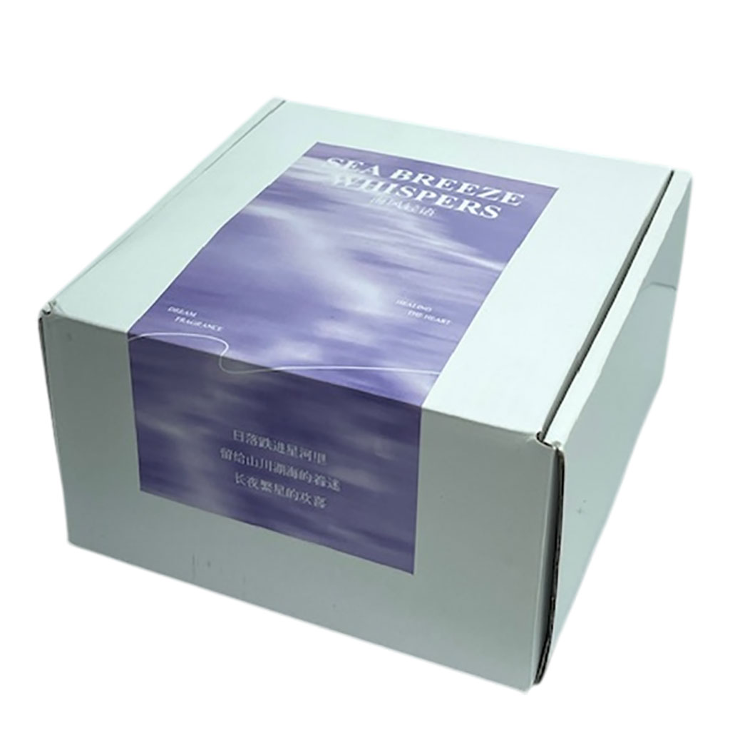 Sea Breeze Whispers Aromatherapy Ornament Diffuser Stone