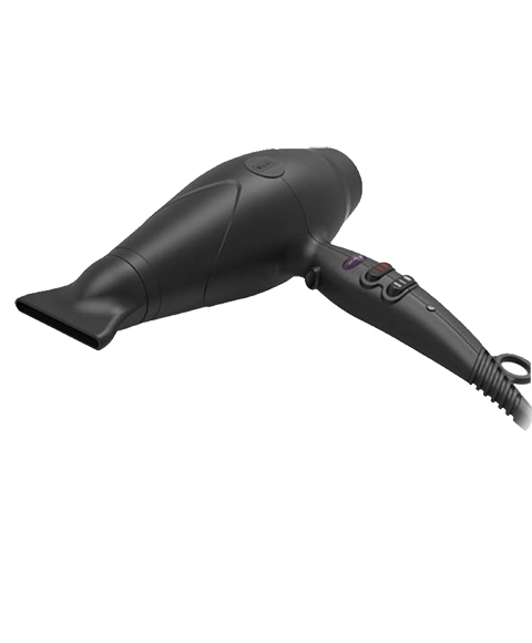 Professional Hair Dryer