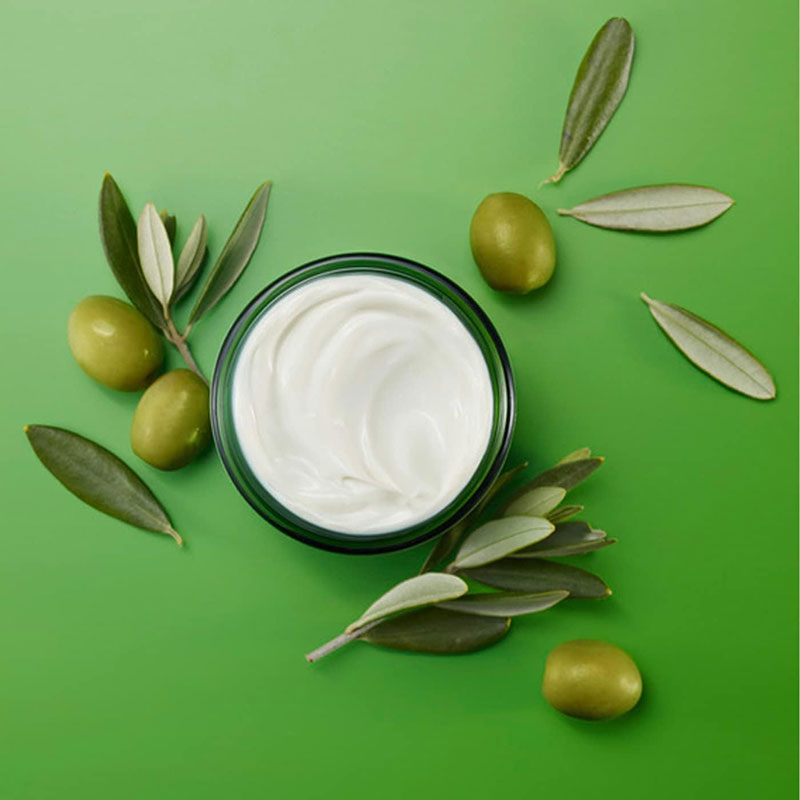 Skin Food Face Care Nourishing Day Cream