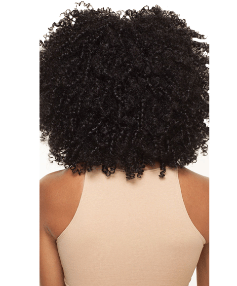 Big Beautiful Hair Syn Lace Front 4A Kinky Wig